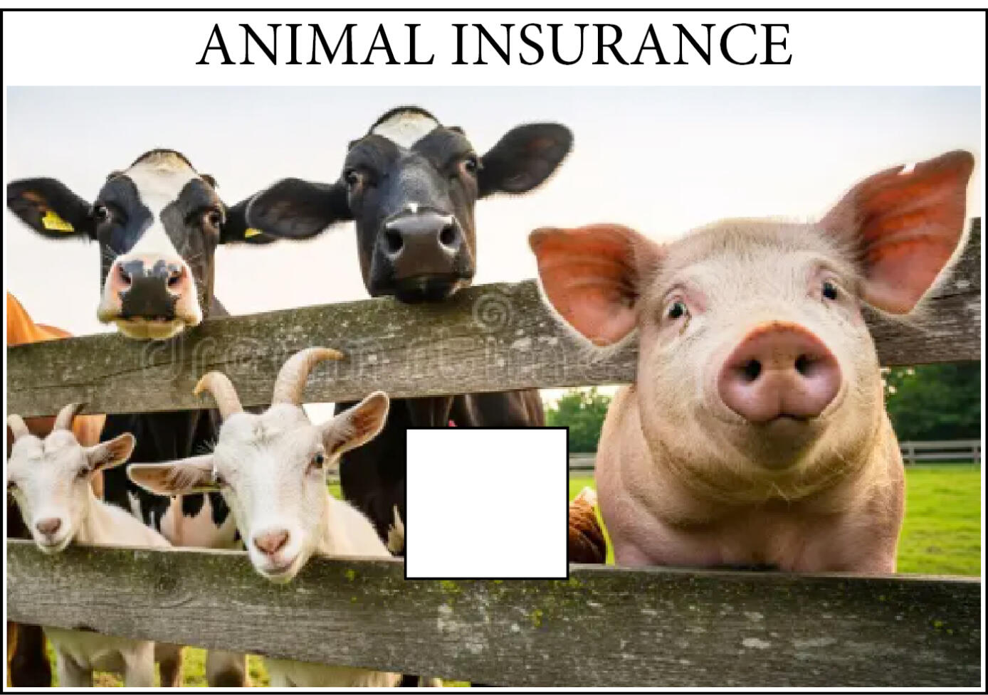 Ran insurance kalpui thuai tum a ni; A huna tihfel loh chuan 12%-in pung dawn