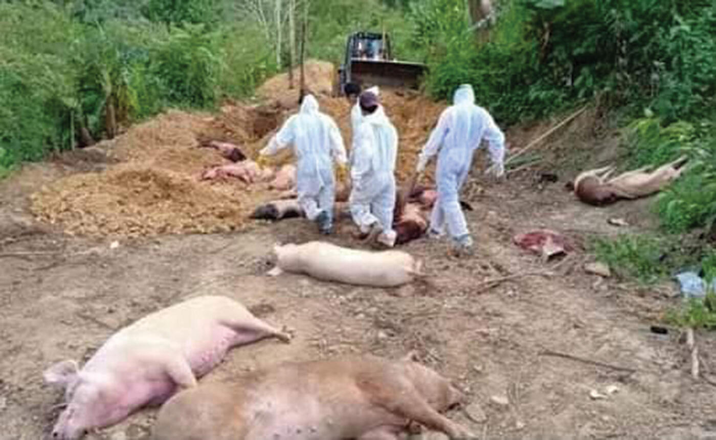ASF state disaster-ah puan a ni; Khuarel chhiatna zingah an ziak lut