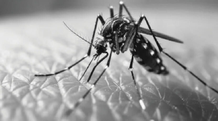 Arunachal :  Malaria vei awm lohna district 19 awm tawh