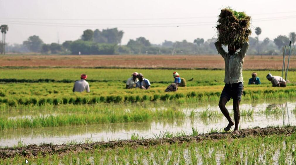 US-India trade deal vangin loneituten nawrh huaihawt tum