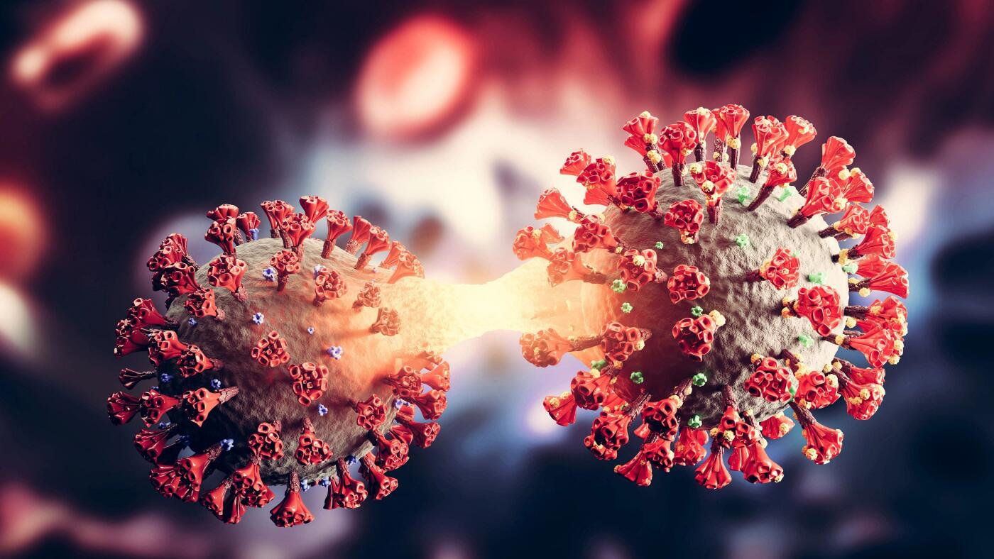 Omicron BA.2 sub-variant chak takin darh mek ; Ram tinin uluk takin an chhuizui tur a ni: WHO