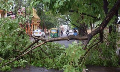 Tripura : Ruah leh thlipuiin chenna in 4,000 chuang tichhia