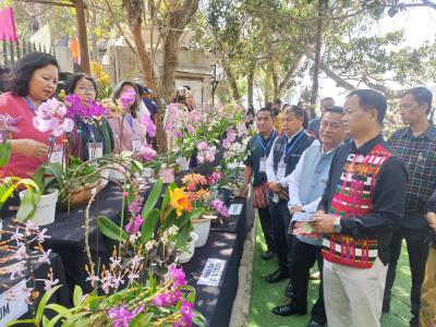 Flower Show