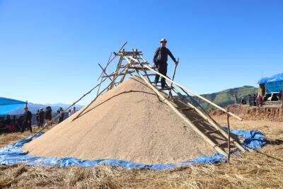 Tualte khuaa JH Lalnummawia te chhungkuain buh phur 1,200 an thar