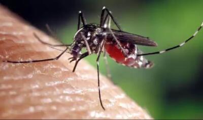 Tripura aṭanga malaria umbo tum