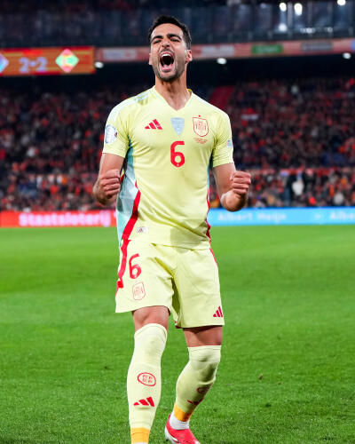 Spain chhantu Merino