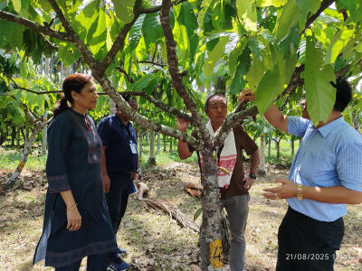 Agriculture Minister-in CPCRI a tlawh