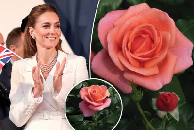 Kate Middleton hming chawiin rose thar hming phuah