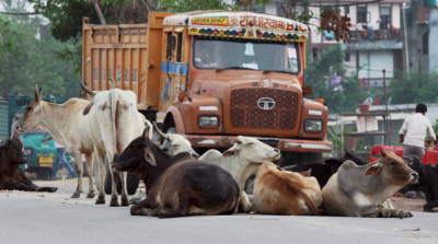 UP-ah bawng census nei dawn