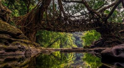 Meghalaya : UNESCO World Heritage list-a telh turin Living Root Bridges rawt