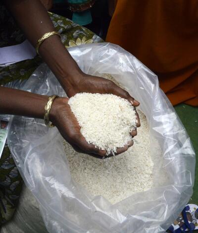 Karnataka sorkarin buhfai kg 5 aiah pawisa a pe dawn