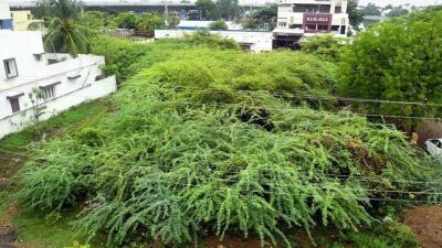 Kutch biala hnim aṭangin 'Green  Methanol' siam chhuak dawn