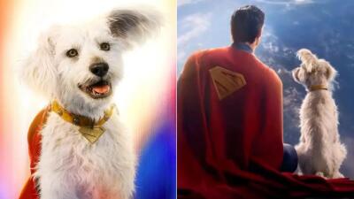 'Superman' film vangin ui adopt chak 500% in an pung