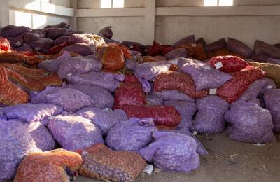 Champhai district chhunga sawhthing qtl 4,509.7878 lei nan nuai 225 pe tawh