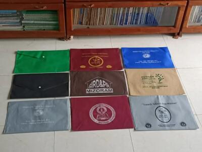Vanglaini Bihchianna: Entrepreneur Huang : LT Eco Bag