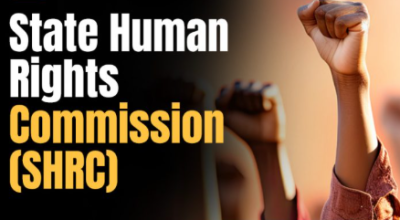 Human Rights Commission Rules tihchhuah a ni