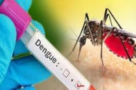 National Dengue Day 2024 hman a ni; Kum 2024-ah dengue vei mi 132 hmu tawh