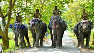 Assam : Manas leh Kaziranga National Park-ah thawktu indaih lo