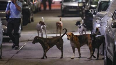 Ui seh tawkte hnena zangnadawmna state-in a pek a ngai dawn : SC