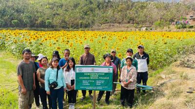 Nihawi chìn leh enkawl dan zirtir