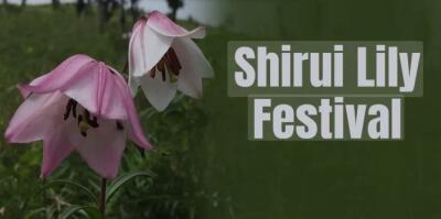 Manipur: Shirui Lily festival  ṭan a ni