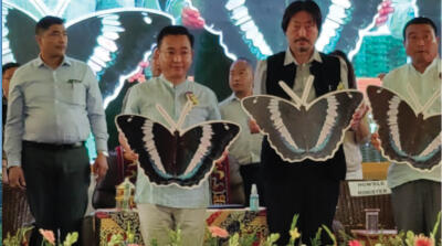 Sikkim-in state butterfly atan Blue Duke puang