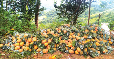 Lakhuihthei chíngtute an mangang Aizawla sum léngvâk a tlêm vang?