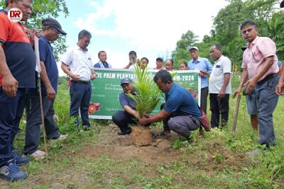 Mega Oilpalm Plantation Drive buatsaih