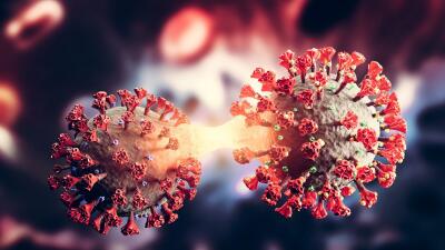 Omicron BA.2 sub-variant chak takin darh mek ; Ram tinin uluk takin an chhuizui tur a ni: WHO