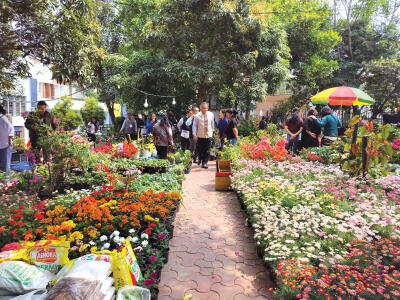 Chapchar Kût Flower Show ṭan a ni