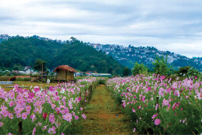 Hnahsin Kût 2025 chhimtu an ṭhahnem