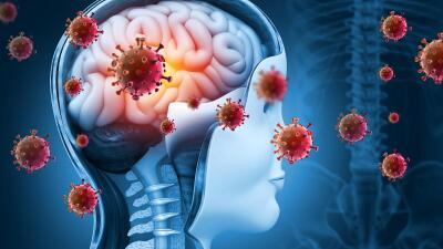 Meghalaya : Sorkarin public health alert puang; Nipah virus leng nia sawi thu dik lo a nih thu tarlang